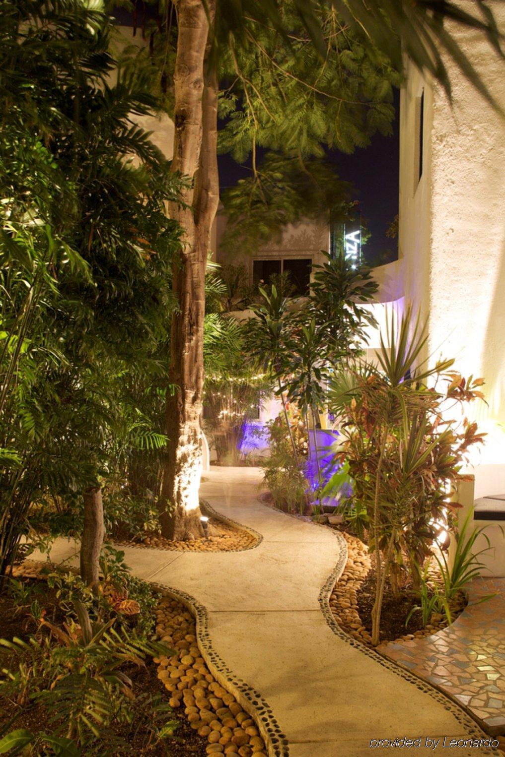 פלאייה דל כרמן Aqualuna Boutique Hotel By Sunrise (Adults Only) מראה פנימי תמונה