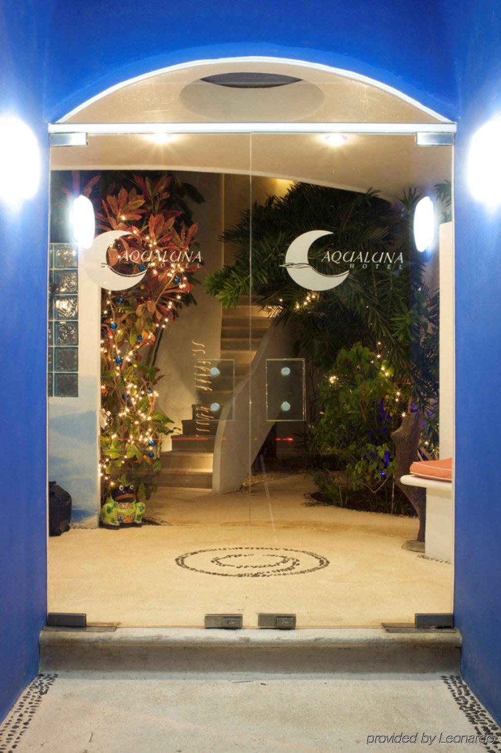 פלאייה דל כרמן Aqualuna Boutique Hotel By Sunrise (Adults Only) מראה פנימי תמונה